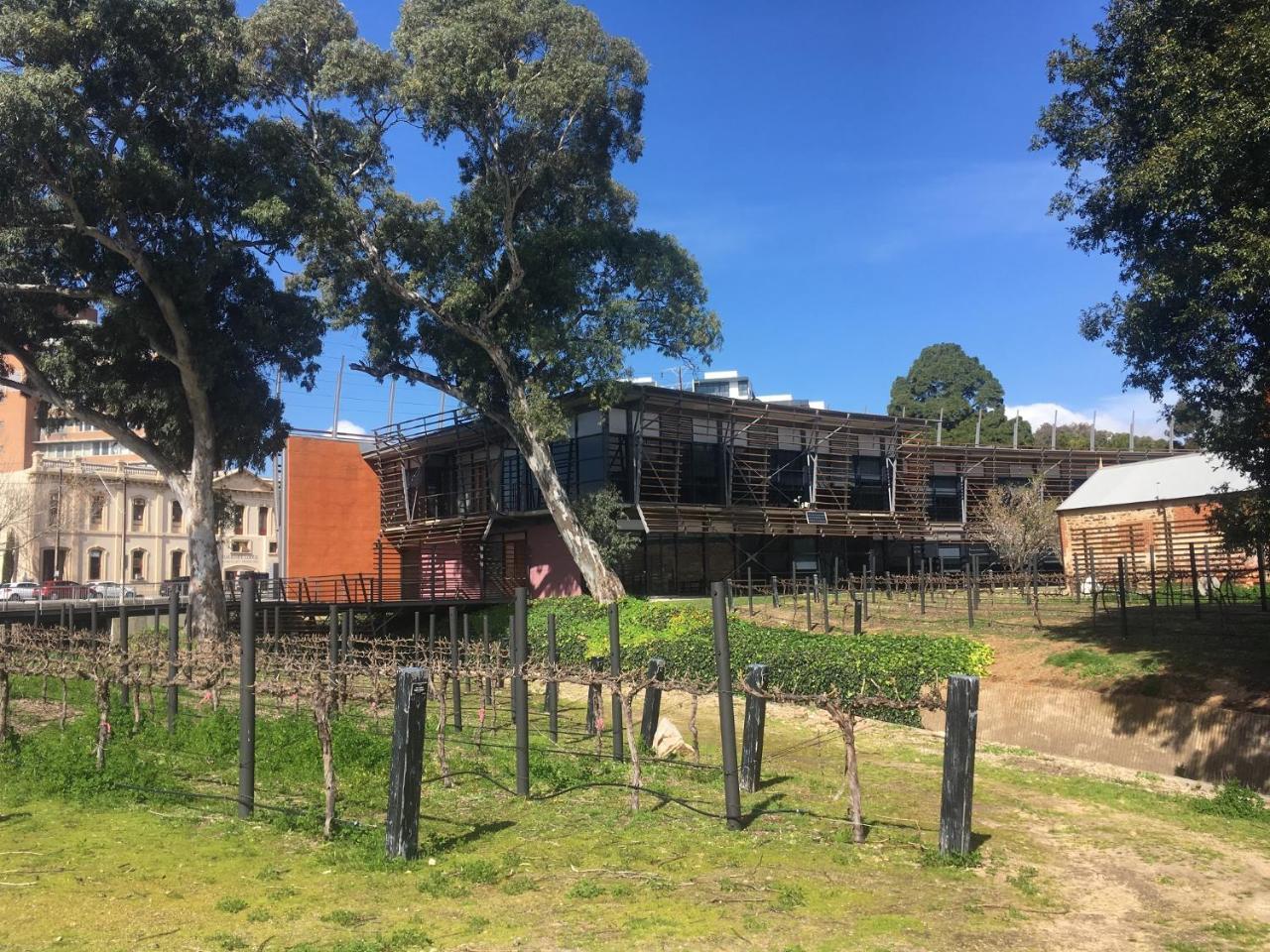 Adelaide Style Accommodation-Close To City-North Adelaide-3 Bdrm- Free Parking Exterior foto